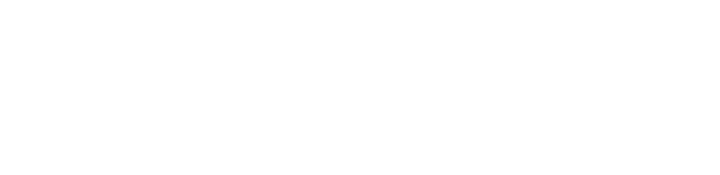 logo_HolzbauSchneider_weiss